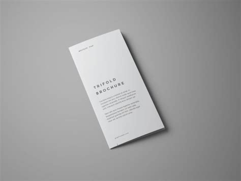 Advanced Trifold Brochure Free Mockup Angles The Free Mockup