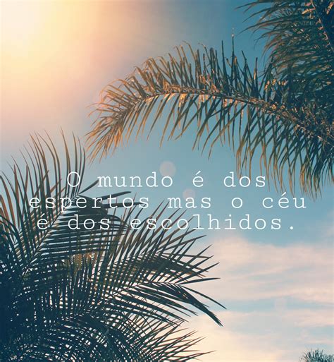 40 Frases De Otimismo Para Começar Suas Manhãs Com Positividade