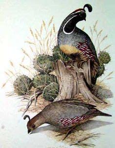 10 Flora Fauna Ideas Quail Fauna Flora And Fauna