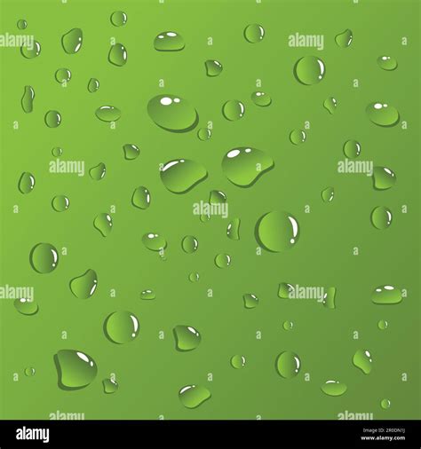 Water Droplet On Plant Stock Vector Images Alamy