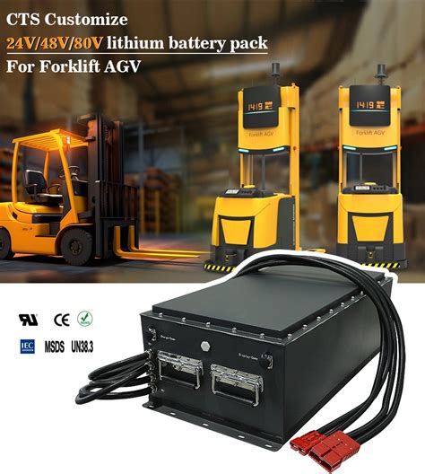 CTS Deep Cycle Batterie Li Ion 48V 50Ah 100Ah 150Ah 200Ah LiFePO4