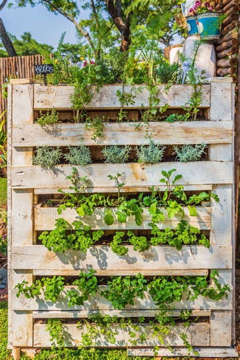 15 Edible Living Wall Ideas For Small Spaces Balcony Garden Web