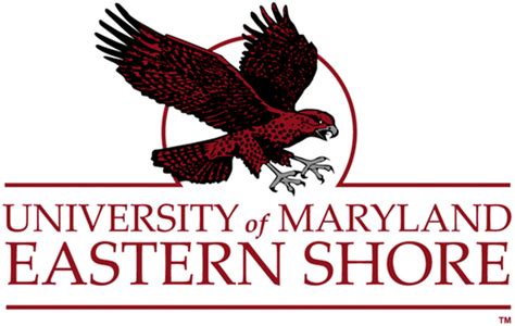 Maryland Eastern Shore Hawks Alternate Logo Ncaa Division I I M