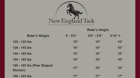 Saddle Seat Size Guide – NewEngland Tack