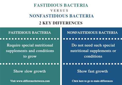 Diferencia entre bacterias fastidiosas y no rápidas | Prodiffs