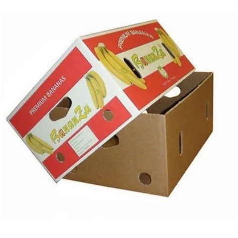 Cardboard Single Wall Ply Printed Fruit Packaging Carton Box Box