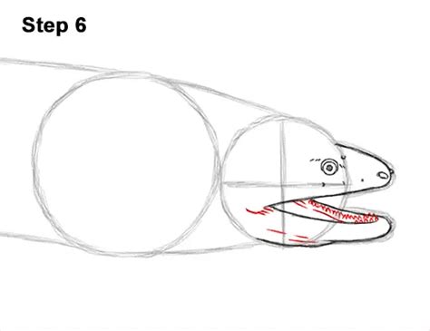 How To Draw An Eel Green Moray Video And Step By Step Pictures