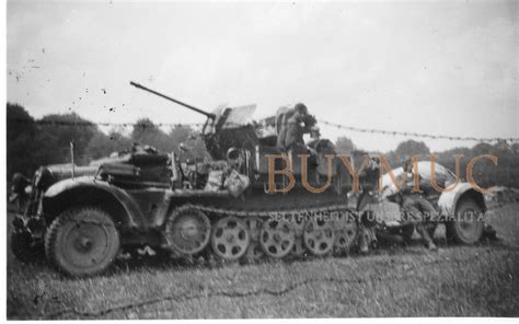 Kettenfahrzeug Sdkfz Mit Flakaufbau Postimages