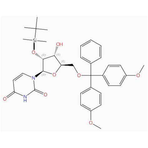 China Nucleotide Examples Factory And Manufacturers Suppliers OEM