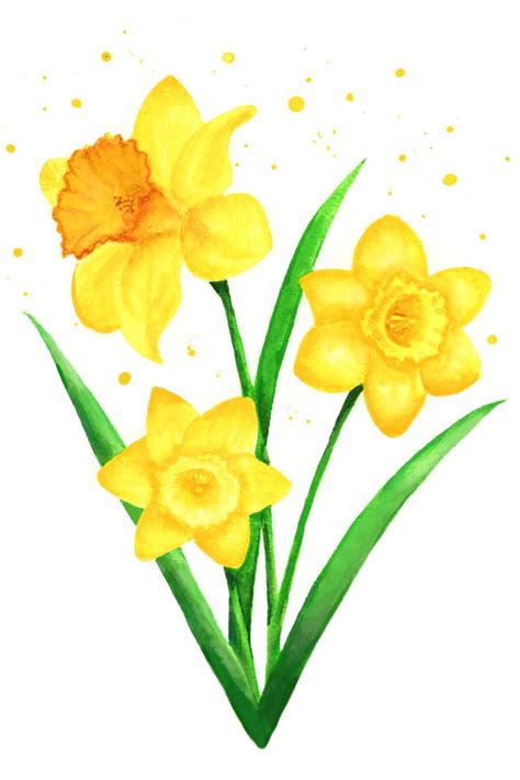 Daffodil Art Daffodil Print Daffodil Painting Daffodil Etsy Uk In