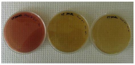 Microorganisms Free Full Text Movement Of Salmonella Serovar