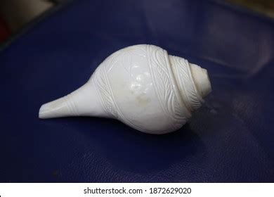 Beautiful Conch Shell Shankh Vamavarti Shankh Stock Photo Edit Now