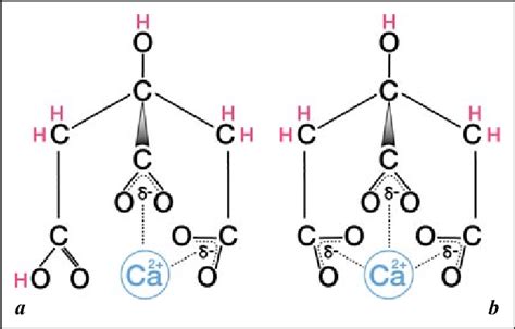 Schematic Representation Of Citrate Ion Chelating A Calcium Ion The