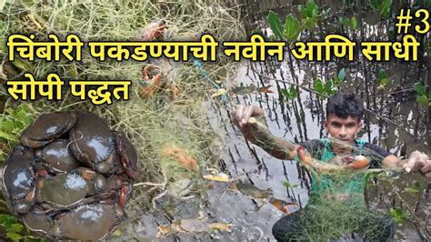 खेकडे पकडन्याची एकदम सोपी पद्धत जालात पकडले खेकडे How To Crab