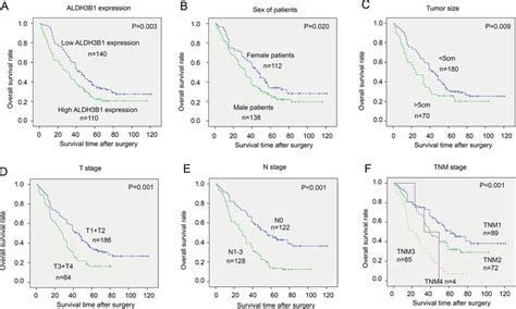 Survival Curves Of Different Clinicopathological Factors The Overall