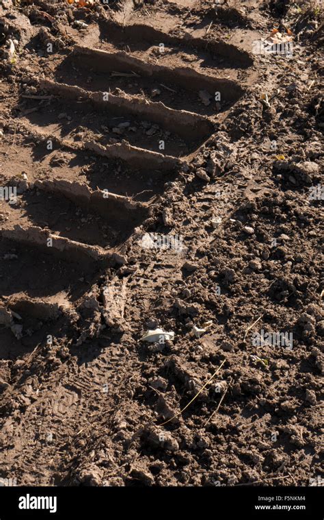 Tire Tracks In Mud Of Heavy Equipment Stock Photo 89601572 Alamy