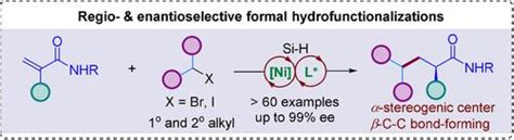 Regio And Enantioselective Ni Catalyzed Formal Hydroalkylation