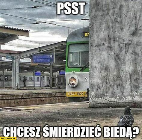 Psst Memy Paczaizm Pl Memy Polityczne Mieszne Obrazki Dowcipy