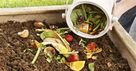 Cómo hacer compost con los residuos orgánicos de tu casa Diario El