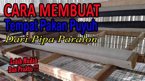 Cara Membuat Tempat Pakan Puyuh Dari Paralon Youtube