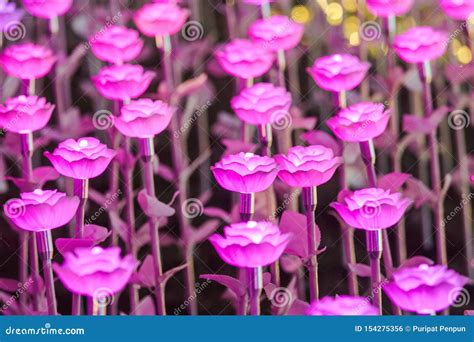 The Lights Are Decorated As Flowers To Create Beautiful Light Stock