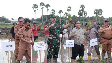 Tingkatkan Produktivitas Kementan Optimalkan Lahan Rawa Dan