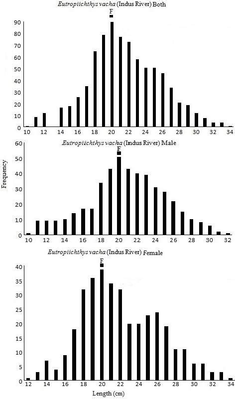 Length Frequency Distribution Of The E Cacha Combined Sexes Male And Download Scientific