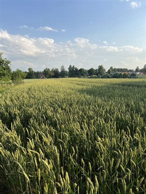 Dzialka budowlana 1649 mkw Drogomysl ul Główna sprzedam uzbrojona