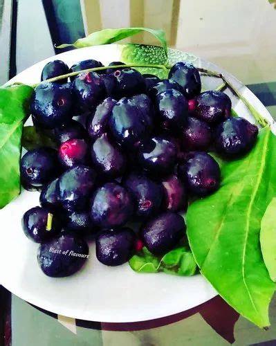 Black Frozen Jamun Pulp Packaging Type Packets At ₹ 220 Kg In Ahmedabad