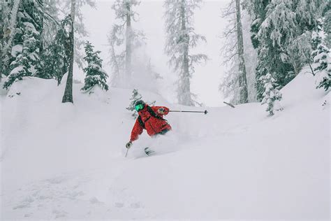 Skier Skiing Powder Through Trees In Colorado Photograph by Cavan ...