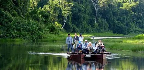 El Parque Nacional Del Manu Todo Lo Que Debes Saber Sobre El Manu