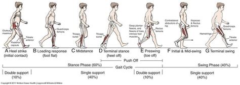 Instrumented Gait Analysis Physiopedia