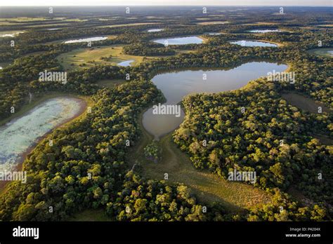 Aquidauana Ms Baias Salinas Pantanal Pantanal Sul Barra Mansa