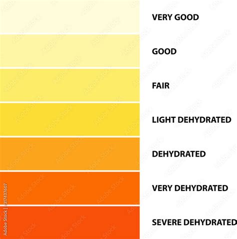 Urine color, Dehydration Urine Color Chart, vector illustration Stock ...