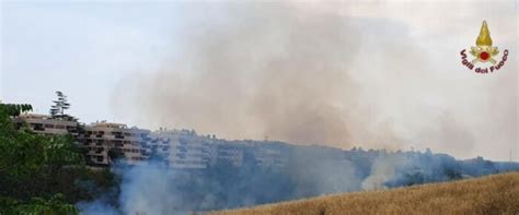 Serpentara Incendio Di Sterpaglie A Due Passi Dalle Abitazioni