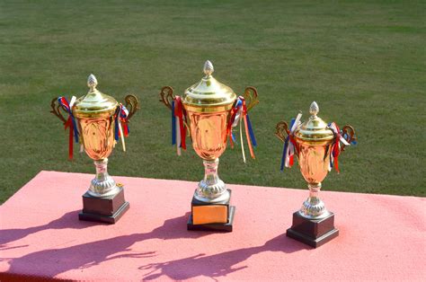 trophies  stock photo public domain pictures
