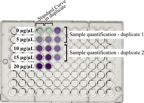 Cell Press STAR Protocols