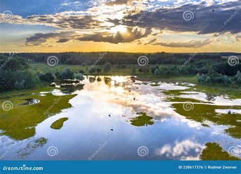 湿地景观的透视 库存照片 图片 包括有 ä¸‰è§ é€šé é¢„ç•™ æ£®æž— ç¿è‰² 238617376