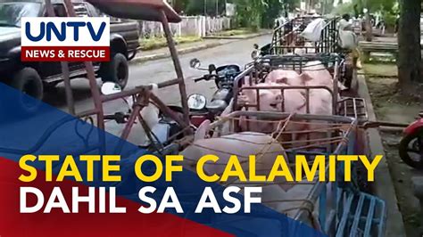 State Of Calamity Idineklara Sa Lalawigan Ng Bataan Dahil Sa Asf Youtube