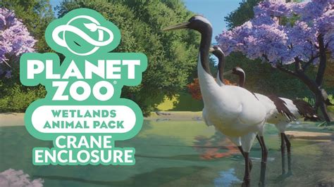 Planet Zoo Wetlands Pack Dlc Red Crowned Crane Enclosure And Animal