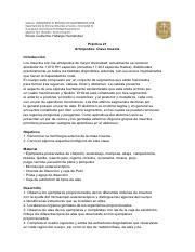 Pr Ctica Clase Insecta Hidalgo Hern Ndez Lab Bio Inv Pdf Bruno