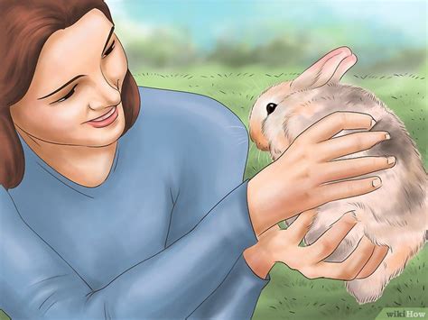 4 Ways To Train A Rabbit Artofit