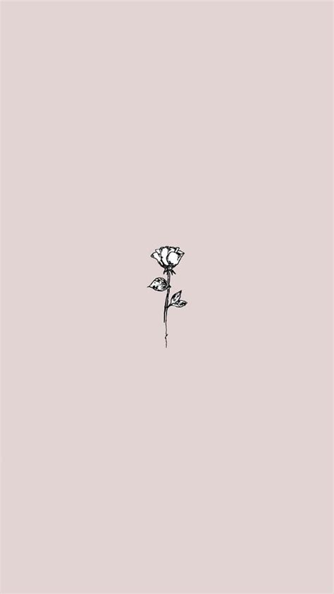 917 Flower Background Minimalist Images - MyWeb