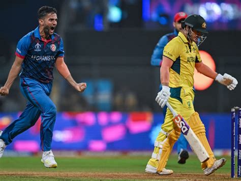 Australia Vs Afghanistan Live Score Updates Cricket World Cup