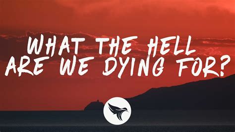 Shawn Mendes What The Hell Are We Dying For Lyrics Youtube