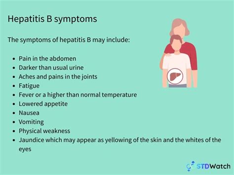 Hepatitis B Symptoms Causes STDWatch