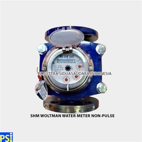 Shm Ss L Screw Flow Meter Dn Inch