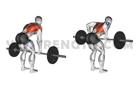 barbell row mistakes     correctly  strength