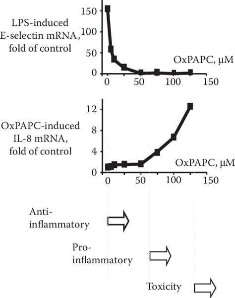 Biphasic Pro And Anti Inflammatory Action Of Oxpls In Vitro The