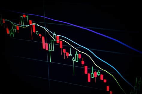 Bear Vs Bull MarketWhats The Difference